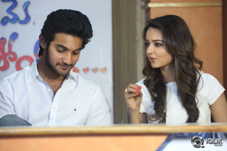 Pyaar-Mein-Padipoyane-Movie-Success-Meet